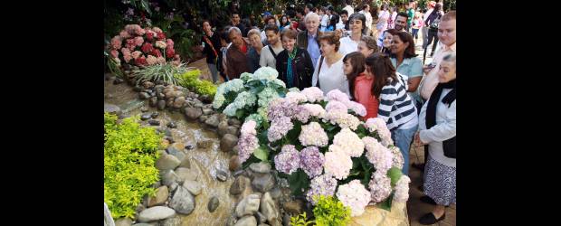 Las orquídeas, reinas del Jardín | Fotos: Manuel Saldarriaga | Las expresiones de fascinación y asombro se reflejaron en los rostros de los visitantes de Orquídeas, Pájaros y Flores quienes se veían felices mientras realizaban el recorrido de la exposición.