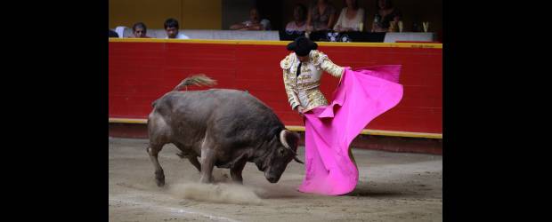 Una ilusión y dos decepciones | Hernán Vanegas | Solanilla recibió a Corredor con cuatro hermosas verónicas que fueron el preludio de un hermoso tercio de capa y una buena faena con la muleta. El bogotano estuvo muy centrado en el ruedo y mostró una voluntad inmensa. De no ser por un fallo con la espada, habría cortado a ley las dos orejas.