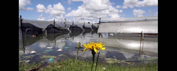 Se saca el pantano, pero no las penas | Julio César Herrera