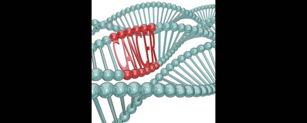 Nuevas pistas contra la leucemia | Shutterstock | Los científicos encontraron cuatro genes cuyas mutaciones provocan el desarrollo de la leucemia linfática crónica. Según los especialistas, el panorama investigativo en el mediano plazo estará marcado por el desarrollo de aplicaciones clínicas basadas en el estudio del genoma de las células malignas.
