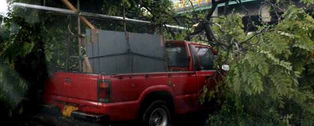 Esta vez el aguacero en Medellín estuvo acompañado de fuertes ráfagas de viento | Juan Antonio Sánchez | La caída de árboles fue la nota predominante en el aguacero de este martes.