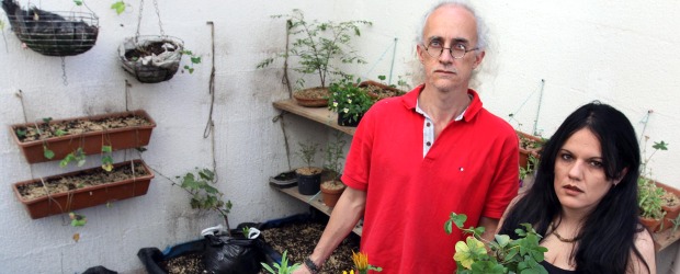 Los fabricantes de tréboles de 4 hojas | Julio César Herrera | Planta tus sentimientos también ofrece productos para todo tipo de públicos. Los hombres prefieren bonsais, las mujeres besitos y dalias enanas. Para los adultos de la tercera edad están los guayacancitos