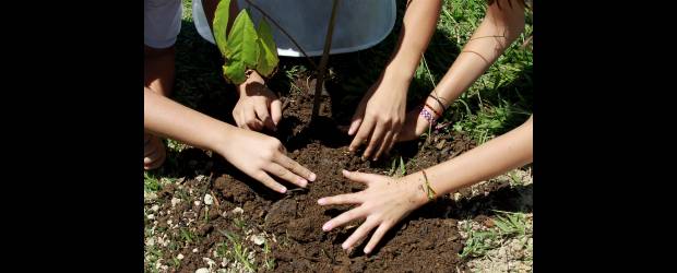 Inyectan vida a la Tierra | Donaldo Zuluaga Y Liliana Vélez | La del Día de la Tierra fue una jornada alegre, de camaradería entre los estudiantes de colegios públicos y privados; de risas y tierras, esfuerzos y sudores. Al final, la satisfacción de contribuir con uno de los pulmones de la ciudad.