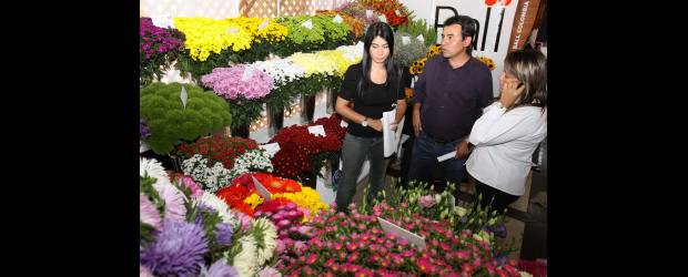 Siete años de crisis inspiran a floricultores | Donaldo Zuluaga | Paula Melo, de Gems Global; Jorge Patiño, de Flores de Oriente, y Doris Montoya, de Ball Colombia, hablaron sobre la crisis del sector.
