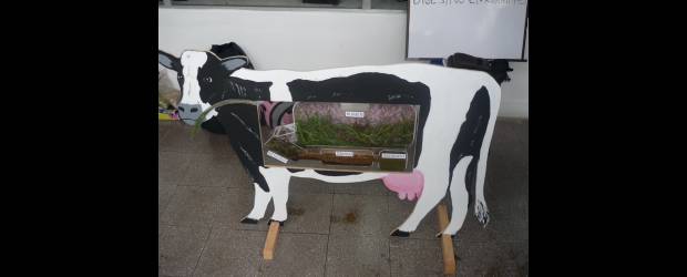 Por el día del veterinario | Cortesía | La Exposición de sistemas orgánicos animales inicia a las 8:00 a.m. en la Ciudadela Robledo de la U. de A., carrera 75 No. 65 - 87.