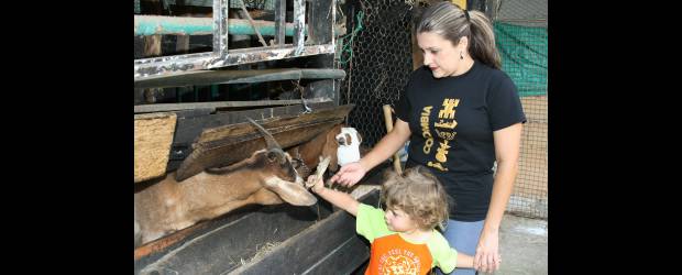 El emprendimiento siembra en Envigado | Juan Antonio Sánchez | En su granja ecológica, Margarita María Piedrahíta le enseña a niños, jóvenes y adultos cómo pueden vivir de una manera sana y en armonía con el medio ambiente. Todos sus cultivos son libres de cualquier tipo de químico.
