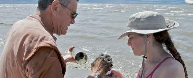 La Nasa descubrió bacterias que viven en arsénico | Reuters | Científicos examinan bacterias en el Lago Mono, en California.