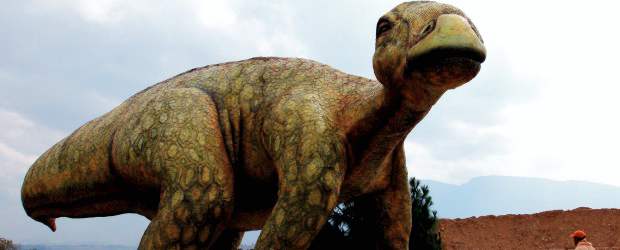 En Villa de Leyva lo esperan dinosaurios | Henry Agudelo | Algunos de los gigantescos modelos se mueven con el viento, una manera de darle más realismo al lugar. En el parque hay dos lagos. En uno se encuentran réplicas de varios de los primitivos habitantes del mar. Un viaje por el pasado.