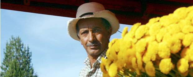 Programación Feria de las Flores Miércoles 3 de agosto |