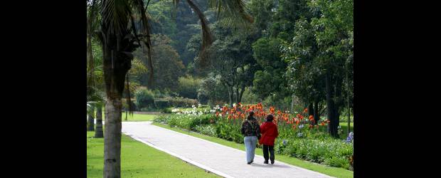 Paisaje da calidad de vida | | El Jardín Botánico Joaquín Antonio Uribe es una de las pocas obras que en Medellín cuenta con un diseño paisajístico.