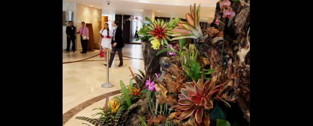Crecen visitas para gozar de la feria | Julio César Herrera | De acuerdo con la capacidad instalada de los hoteles que reportan al Sistema de Indicadores Turísticos (Situr), el Hotel Intercontinental lidera el índice de ocupación en El Poblado