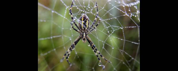 En contravía de la realidad | Reuters |
