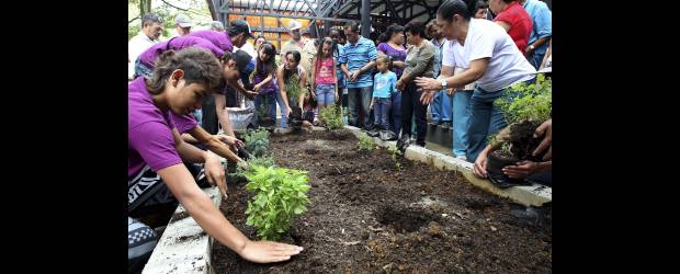 Una finca en pleno barrio tiene feliz a La Francia | Jaime Pérez | Más se tardó el Área Metropolitana en entregar el parque al uso comunitario que la gente en empezar a sembrar maticas en las huertas que fueron adecuadas en el escenario. Así, de manera simbólica, el pueblo selló el pacto para cuidarlo y protegerlo. De las entrañas del barrio irán naciendo los vigías del parque.