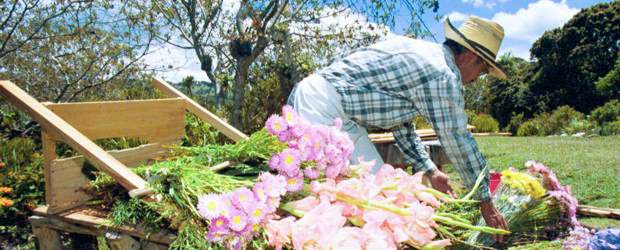 Programación Feria de las Flores Lunes 25 de julio |