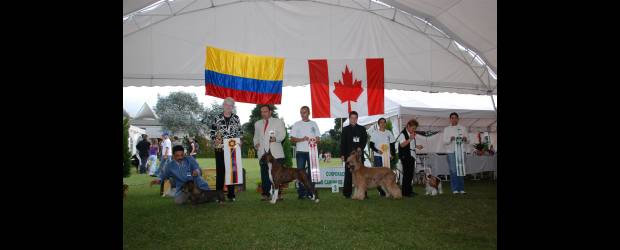 Perros triunfadores en pasada versión | Cortesía | Distinciones a perros triunfadores en pasada versión. El fin de semana se cumplirán dos en una, las exposiciones nacionales 113 y 114.