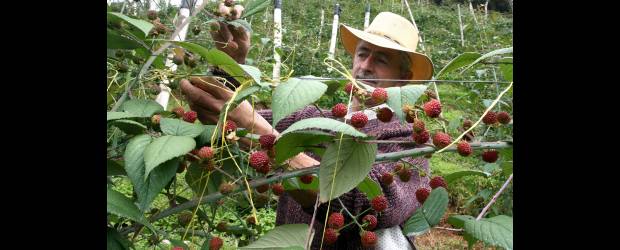 Las instituciones llegan a Santa Ana |