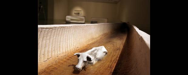 Exposición El río desemboca en el Museo de Antioquia |