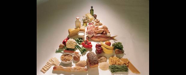 Estudio enseña cómo evitar subir de peso tras adelgazar | Cortesía | Según el estudio, la clave está en aumentar el nivel de consumo de proteínas y disminuir el de carbohidratos. ¿Cómo le suena?