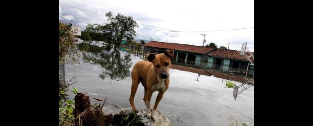 Un pueblo casi fantasma | Manuel Saldarriaga | En el caserío Punta Brava, que pertenece al municipio de Yotoco, en Valle, solo se quedó viviendo la familia de un pescador. Las 45 familias restantes debieron ser trasladadas a carpas, mientras son reubicadas definitivamente.