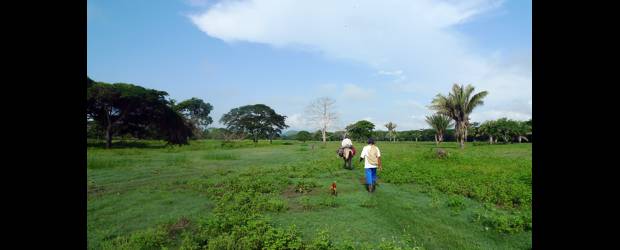 Hacienda Las Pavas volverá a campesinos | Cortesía-Fundación Chasquis | Cerca de 600 campesinos se beneficiarán con el fallo de la Corte que ordena al Incoder adelantar el proceso para que las familias retornen al predio.