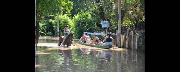 Lluvias y crecientes dieron breve tregua | Colprensa, La Dorada-caldas | En la madrugada del domingo, el río Magdalena alcanzó un nivel de 5.95 metros en La Dorada, Caldas. El agua se empezó a entrar a las casas por los sifones. En el barrio Las Margaritas un arroyo estuvo a punto de llevarse un taxi.l