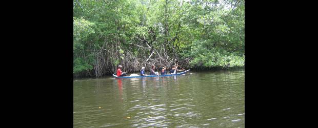 Naturaleza vibrante en Bocas del Atrato | Cortesía | A este paraíso se llega por Turbo, desde donde se embarcan para llegar al centro ecoturístico y gozar la naturaleza.