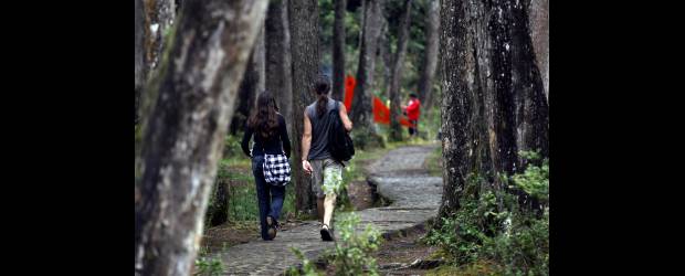 Ingreso al Parque Arví será regulado | Archivo | La Alcaldía y la Corporación hacen un llamado para cuidar el Parque.