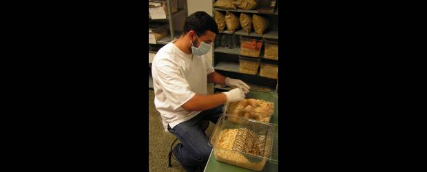 Morir en el laboratorio | Cortesía Siu | El ingreso al Bioterio es restringido. Es en el piso 7 de la SIU. Tiene ala para animales libres de patógenos, otro de animales convencionales, con un cuarto de insectario. Hay para malacología, para ponzoñosos y uno para domésticos.