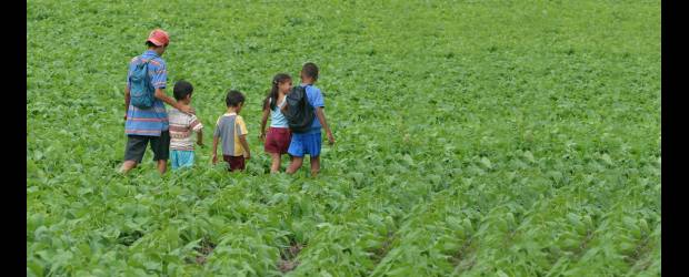 Experiencias chilenas para mostrar | Juan Antonio Sánchez | Hasta el pasado 22 de abril, Juan Rusque se desempeñó como subdirector nacional del Instituto de Desarrollo Agropecuario Chileno (Indap). Rusque es además profesor universitario de importantes instituciones.
