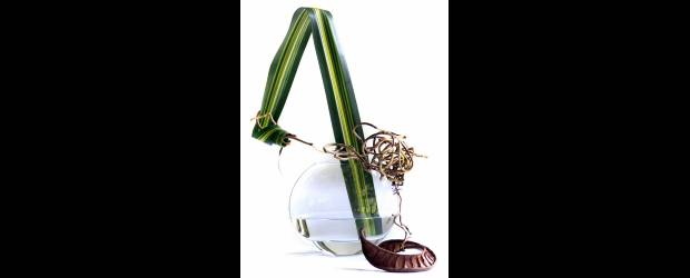 Arreglos con mucho verde | | Con tres elementos, pándamo, bejuco y cáscara de semilla, Elisa Robledo diseñó este sofisticado arreglo.
