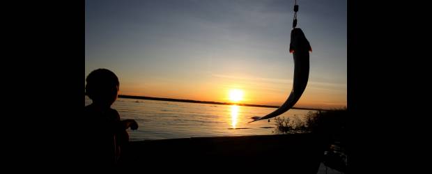 2030 o la hora de la Amazonia | Henry Agudelo Archivo | Foto sobre el río Amazonas. La inmensidad de la región y la diversidad de vida requieren atención especial. Amazonia 2030 es una ayuda adicional para la preservación y correcta utilización.