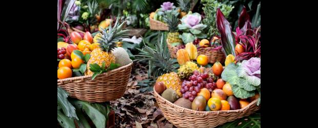 Hoy culmina el festival de Frutas y flores |