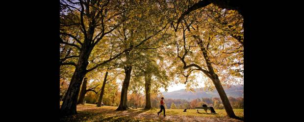 Situaciones sencillas que alegran el alma |