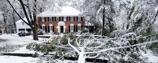 Nevada en noreste de Estados Unidos dejó 11 personas muertas | AP | La fuerte nevada causó la caída de árboles en varias zonas, situación que afectó viviendas y vehículos.