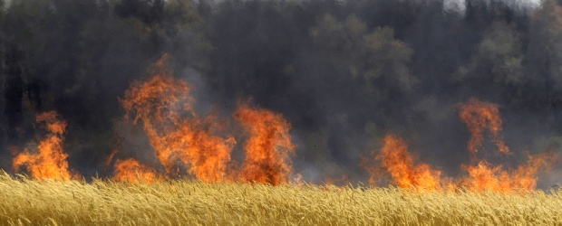 Aumentan a 40 los muertos por incendios en Rusia | AP