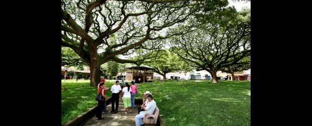 El rincón que les hizo un pueblo a los samanes | Juan Antonio Sánchez, Hispania | El parque principal de Hispania es pleno de verde, pero dentro de poco será sometido a una remodelación que no tiene satisfechos a todos sus habitantes. El kiosko que está en la parte central será reubicado en un costado y en su lugar se habilitará una plazoleta para eventos, que hoy tienen que hacerse en el atrio.