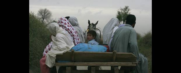 La promoción de la seguridad alimentaria | Archivo |