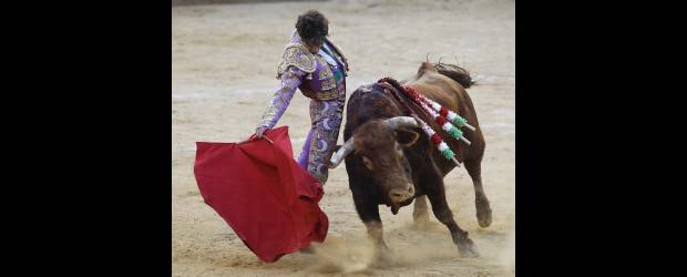 José Tomás: un regreso inmenso | Reuters, Valencia, España | José Tomás les dedicó a sus cuatro médicos una de las faenas, como gesto de agradecimiento por haber contribuido a su recuperación. Abajo, uno de los impresionantes arrimones del torero, que dan cuenta de su valor.