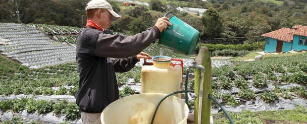 Promueven más desarrollo rural | Archivo | El proyecto de Ley de Desarrollo Rural busca atender a un millón de personas de 225.000 familias campesinas en todo el territorio nacional.