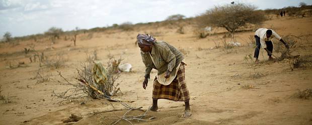 Brote de sarampión en Somalia inquieta a la ONU | AP | El sur de Somalia es el más afectado por la hambruna.