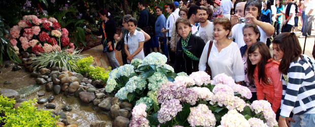 Orquídeas fue todo un éxito | Manuel Saldarriaga | Las flores causaron admiración en los asistentes, quienes además observaron el diseño de cada uno de los estands. El evento terminó anoche.