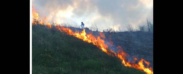 Incendio forestal en Páramo del Sol, Urrao | Archivo Donaldo Zuluaga | Un total de 512 incendios forestales han ocurrido este año.