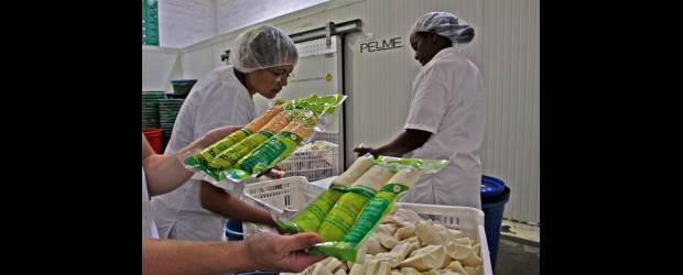 Plátano al vacío: una alternativa en la cocina | Henry Agudelo | Uno de los productos más exitosos de Pelme S.A. es el plátano pelado y empacado al vacío, que fue premiado en Antójate de Antioquia en la categoría Alimentos procesados. El objetivo de la empresa es comenzar a exportarlo a Estados Unidos, España y Centroamérica.