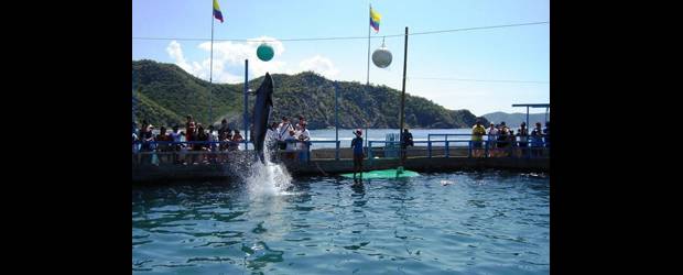 La expedición final del "Capi" Ospina Navia | Cortesía | En los últimos años, la gestión y el manejo del acuario de Santa Marta 'El Capi' se lo delegó a sus hijas. Pero siempre estuvo pendiente de este lugar, pues sigue siendo un atractivo fundamental del turismo y un invaluable centro educativo.