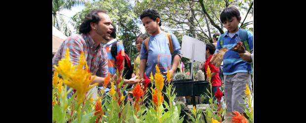 La naturaleza tiene sus maestros | Julio César Herrera | Los cursos de los sábados se dictan de 8: a.m. a 1 p.m. También se programan algunos en semana. Uno de los proyectos es dictar el de hongos comestibles. La información se puede solicitar en el correo juandavid.fernandez@botanicomedellin.org. En la foto Juan David Fernández con visitantes del Jardín Botánico.