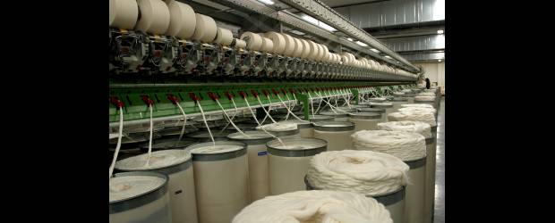 El algodón debe entrar al DRE | Archivo | La Confederación Colombiana del Algodón (Conalgodón) le pidió al gobierno incluir a los productores en el programa Desarrollo Rural con Equidad.