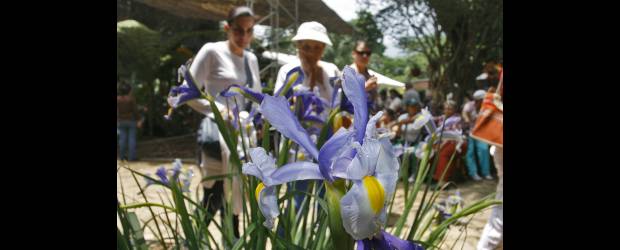 No alcanzan los piropos | Esteban Vanegas Y Cortesía | En el recorrido puede encontrarse con diferentes jardines, como el del estand de Orquifollajes, hecho por Francisco Villegas Vélez