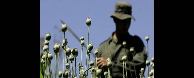 La lucha antidrogas debe ser una política de Estado | Archivo |