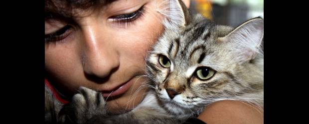 Tres días de mundo para mascotas | Archivo | En Mundo Mascotas 2011 el espacio será para los animales de compañía, no solo gatos y perros, también se tendrán servicios y productos para algunas especies de roedores, peces y aves que no sean consideradas como fauna silvestre. Este es un evento, que se hará el viernes, sábado y domingo, es organizado cien por ciento por Plaza Mayor.