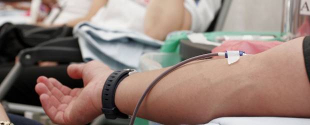 Este jueves, anímese y done sangre | Archivo | Con la jornada se busca mejorar los niveles de unidades por la alta demanda de hemocomponentes.